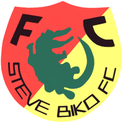 麥地那聯隊FC